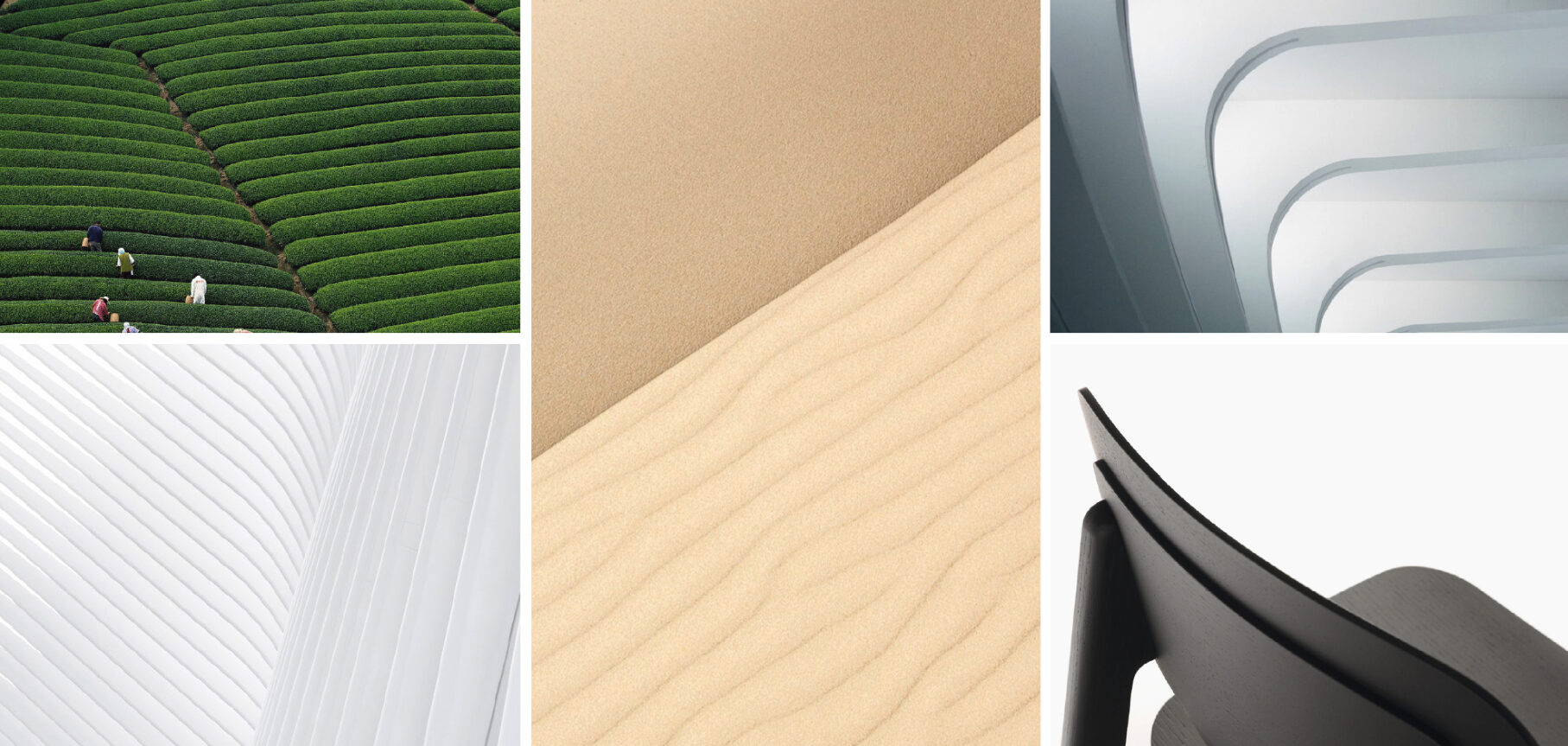 crop-process-03 crop-process-03